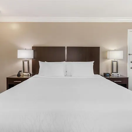 Best Western Plus La Mid-Town Hotel-3