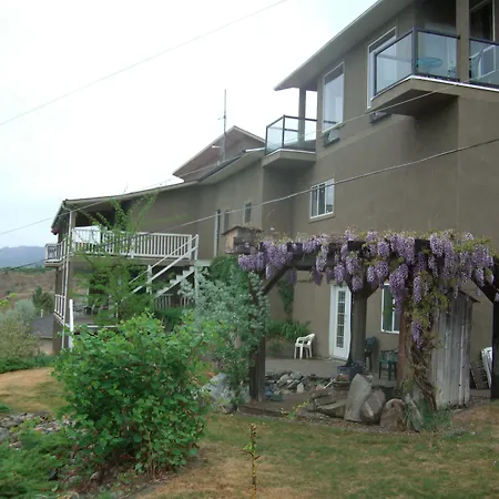 Above The Beach Guest Suites-3