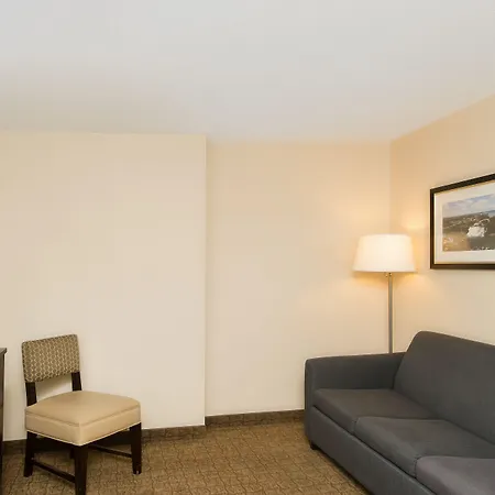 Wyndham Garden Niagara Falls Fallsview-3