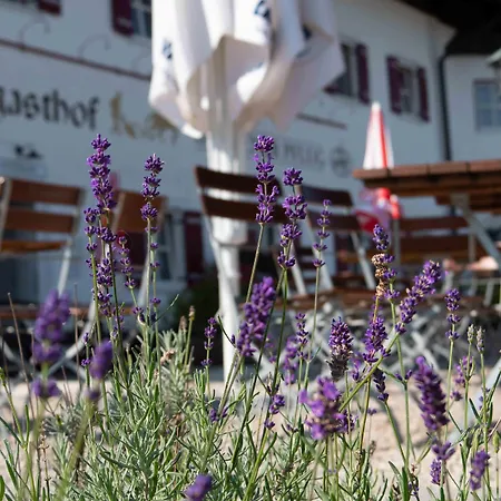 Landgasthof Goldener Pflug-3