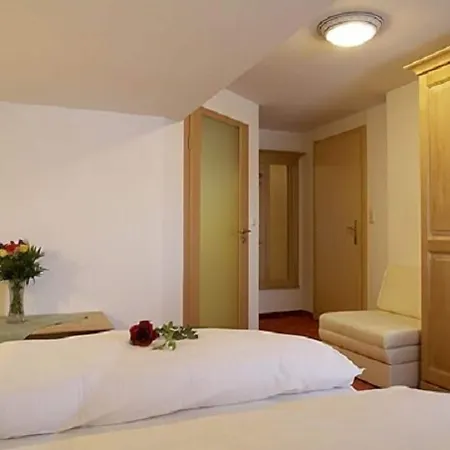 Alpenhotel Ernberg-2