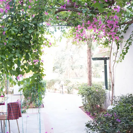 Anna Maria Village-3