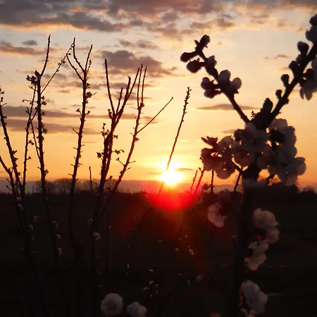 Hotel & Wellness Antico Borgo Torricella-2