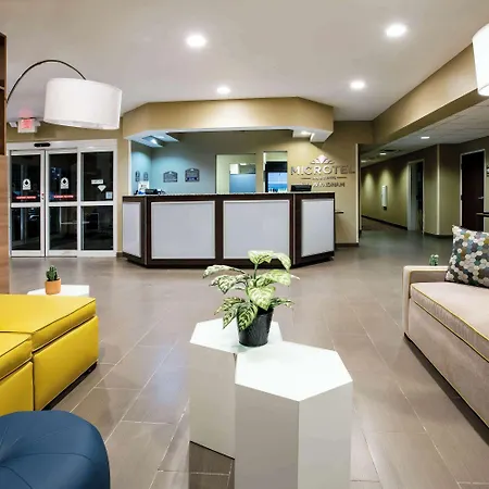 Microtel Inn And Suites Pecos-3