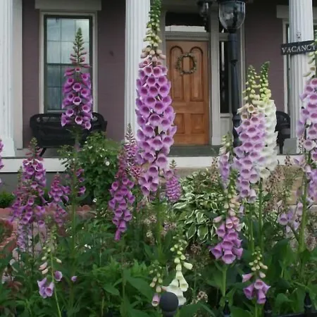 Annie Wiggins Guest House-2