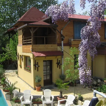 Casa Mica Guesthouse-2