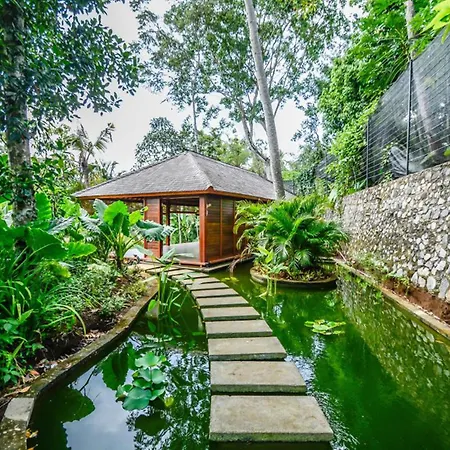 The Hidden Paradise Ubud - Chse Certified-2