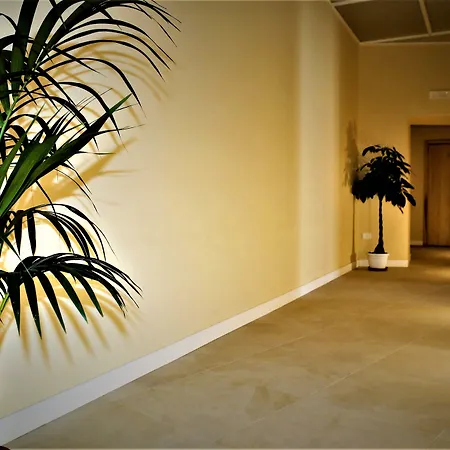 Maison Des Fleurs-3