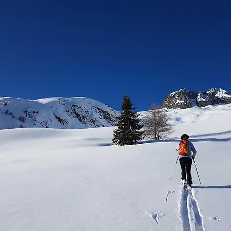 Alpe Rebelle-3