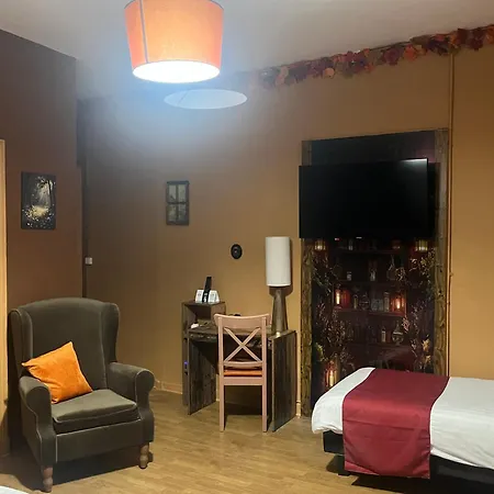 Logis Hotel Le Cygne-3