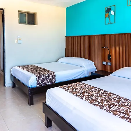 Hotel & Suites Domani-3