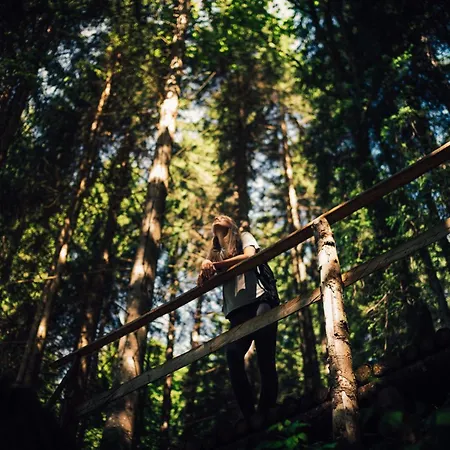 Torghele'S Wald & Fluh-3