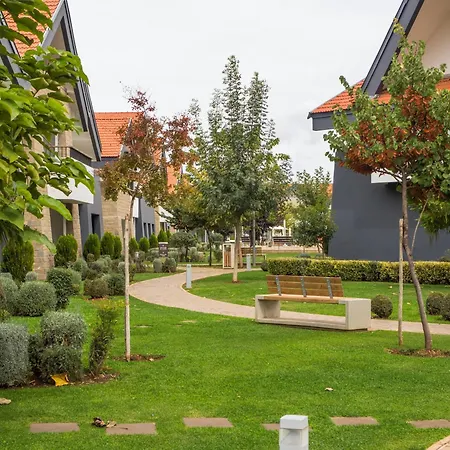 Zephyr Ifrane-2