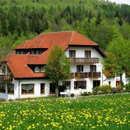 Rhön-Hotel Sonnenhof - Restaurant&Café-2