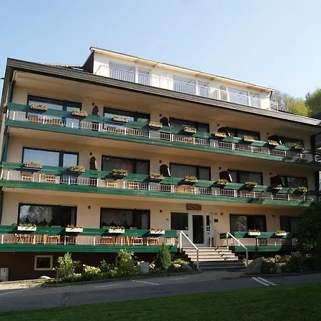 Allee Hotel Leidinger-3