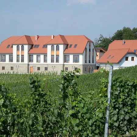 Weingut Taggenbrunn-3