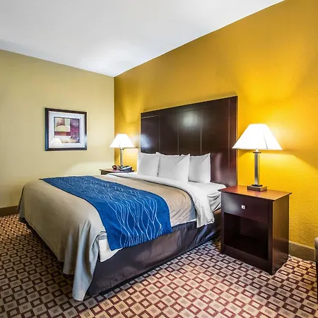 Quality Inn Plant City - Lakeland-2