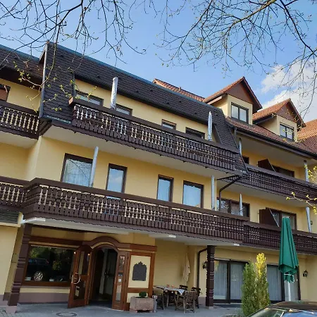 Ringhotel Garni Pflug-2