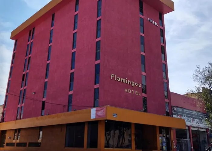 Hotel Flamingos Guadalajara