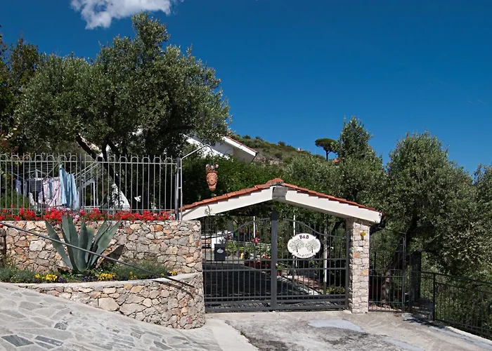Tra Gli Ulivi