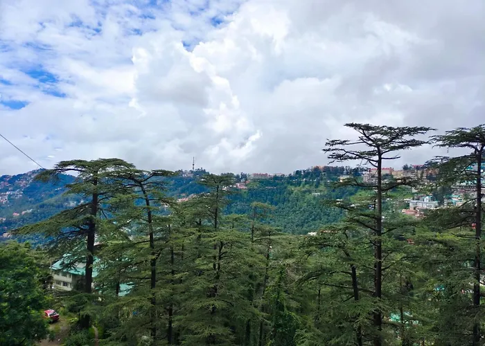 Mountain Zest - Shimla Royale - Free Pickup From Railway Station Shimla Hotel