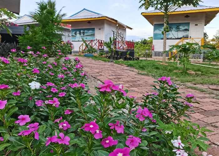 Coconut Garden Resort仙本那顺德人家棕榈园