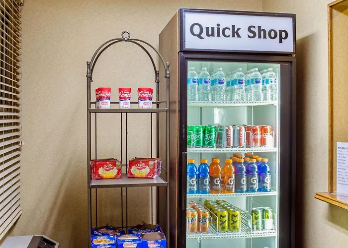La Quinta By Wyndham Appleton College Avenue