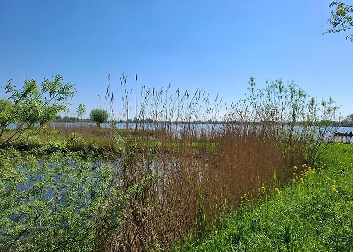 Sweetlake