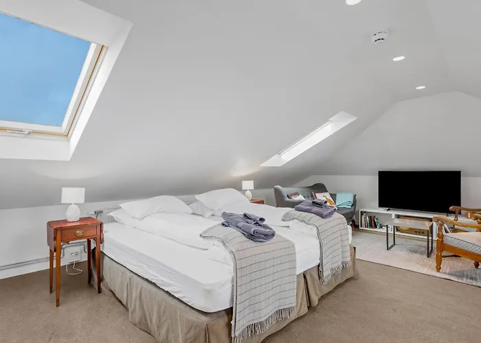 Freyja Guesthouse & Suites
