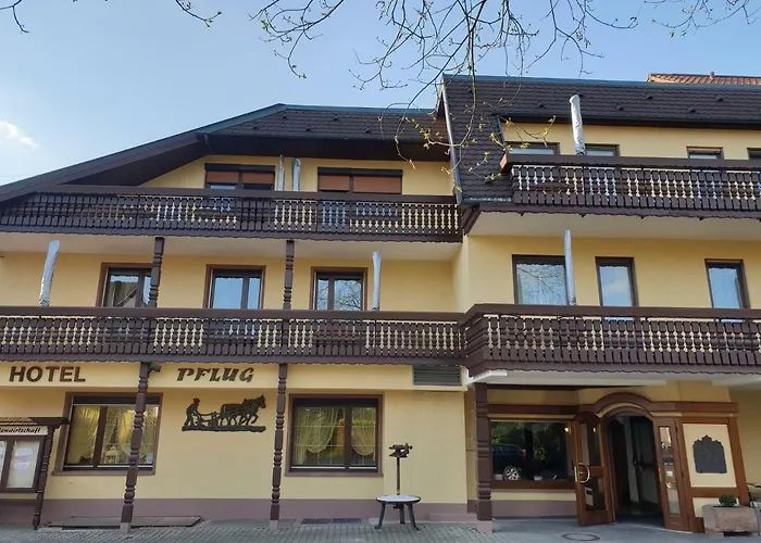 Ringhotel Garni Pflug